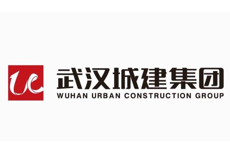 故事叙述类：寻找成长的秘诀——武汉软件公司的崛起之路